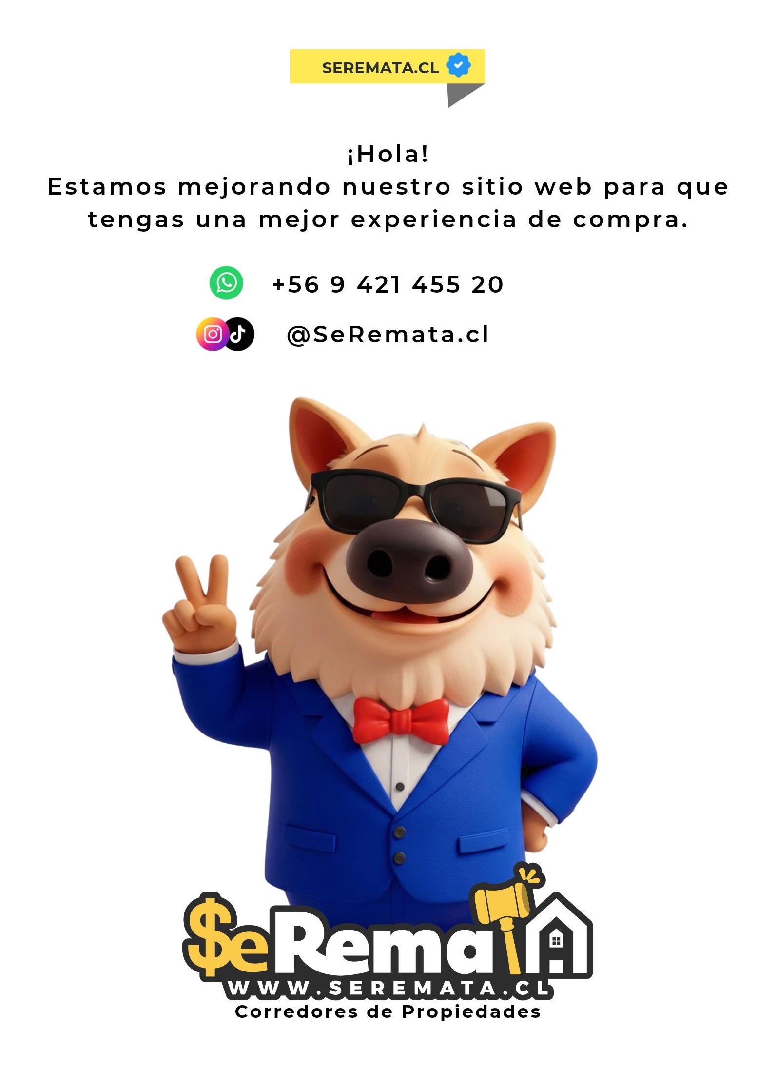 SeRemata.cl está mejorando su sitio web. Contáctanos por WhatsApp al +56 9 421 455 20 o en Instagram como @SeRemata.cl.
